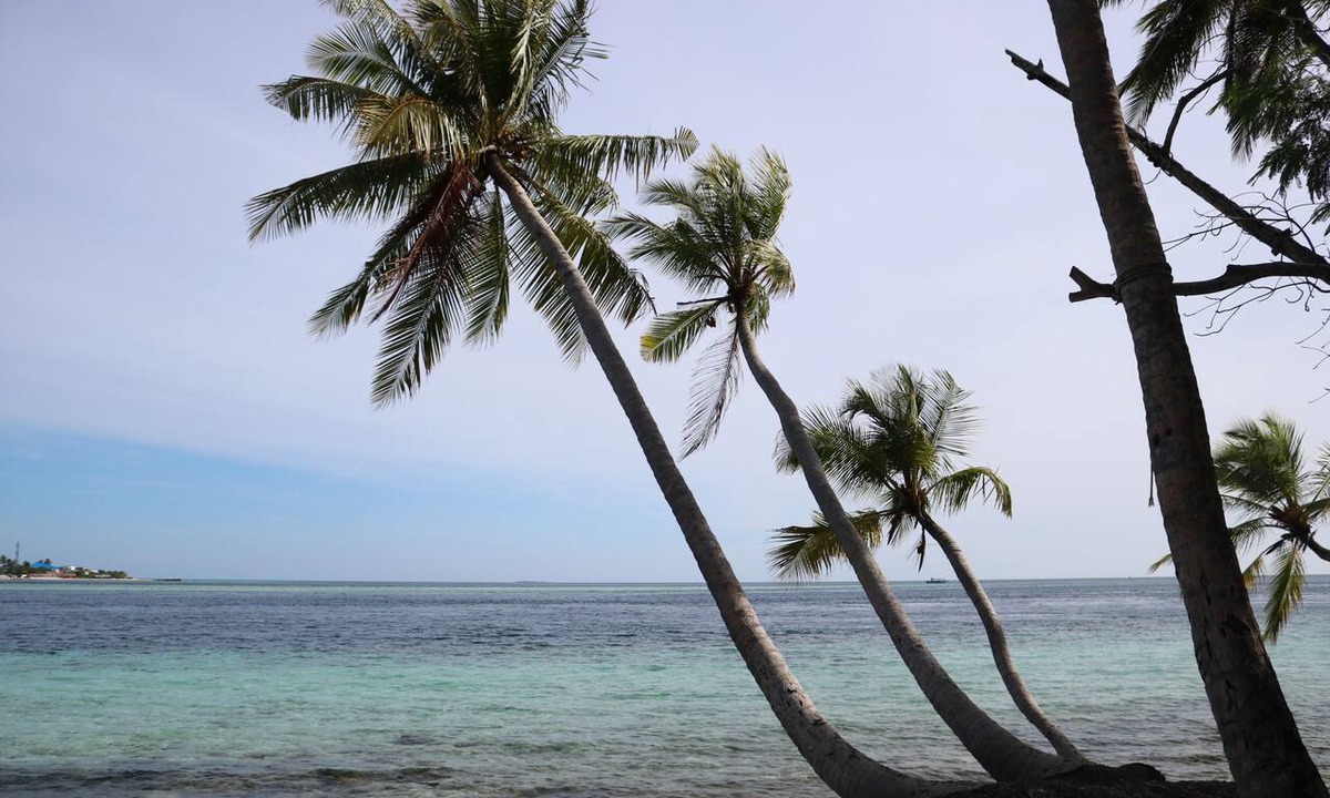 Dhidhoofinolhu Island Cabin | Maldives:Charming 5-bedroom lodge with AC in beautiful Fenfushi