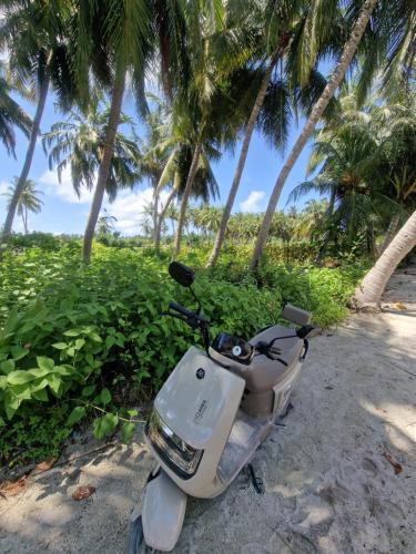 Thoddoo Hotel | Ocean Vida Maldivas