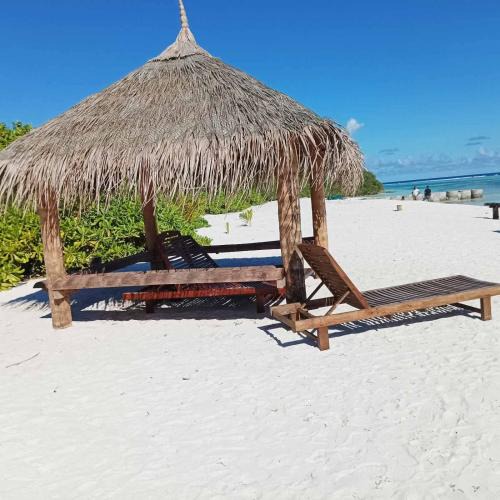 Kaashidhoo House | PalmRest