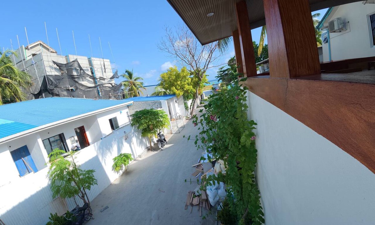 Thulusdhoo Island Hotel | VelaaOlhu - Turtle Hive Thulusdhoo