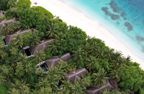 Bodu Hithi Resort | Coco Bodu Hithi - Stay 4 nights or more and enjoy 30 percent off Shared Roundtrip Speedboat, valid for stays until 31st August 2026