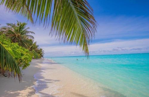 Thoddoo Hotel | Hi Heaven Thoddoo