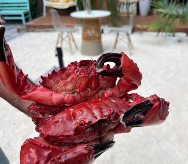 Fulhadhoo House | Palms hotel and Spa