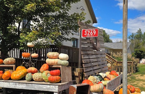 Dickeyville House | Step Into a Soulful Hideaway In This Restored 1860s Country Church!
