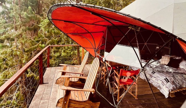 Charming Lulu dome in the mountains of Floridablanca, Santander, Colombia! in Floridablanca