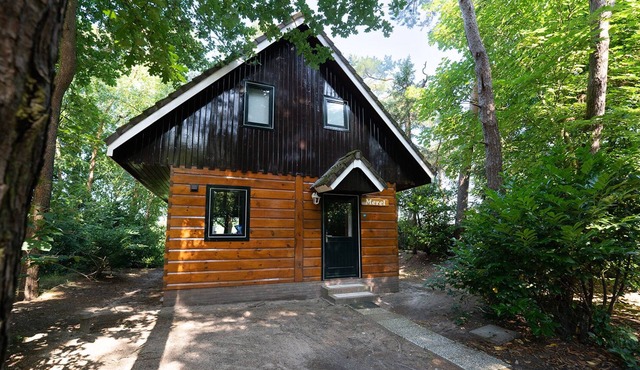 Delightful detached vacation home with private parking located by meadow in Soest