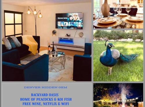 European Hideaway, Backyard Oasis, 10min to DT Denver in Wheat Ridge