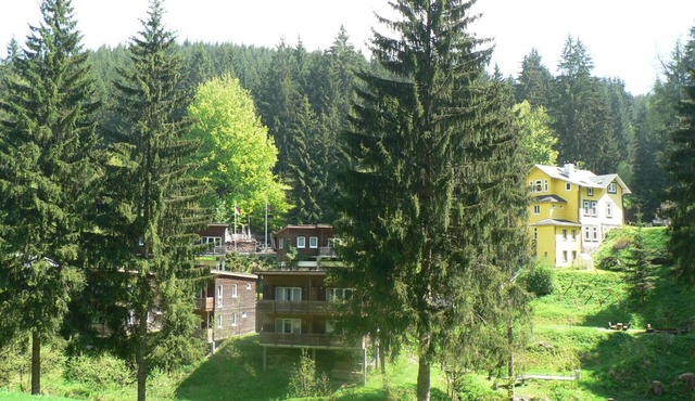 Idyllically situated vacation home in the middle of the forest in Großbreitenbach