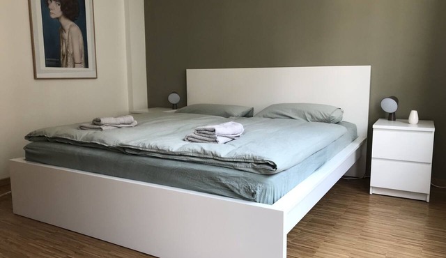 Luxury apartment with balcony in Dresden