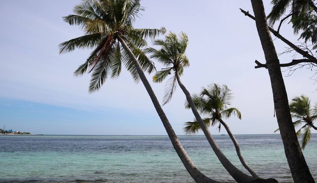Maldives:Charming 5-bedroom lodge with AC in beautiful Fenfushi