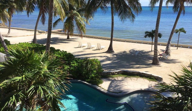 Ocean Front Condo - just steps from the beach! Gold Standard Approved in San Pedro