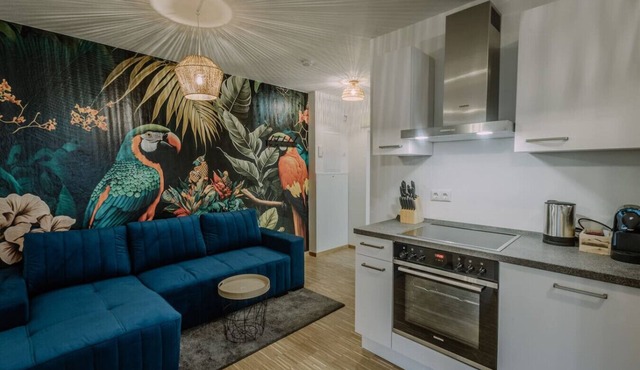 Passau Apartment|Singles-Couples-Groups|Central in Passau