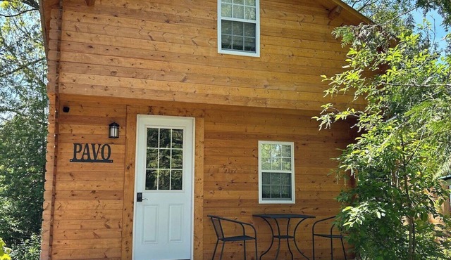 Pavo - New Lofted Kabin in Kawartha Lakes