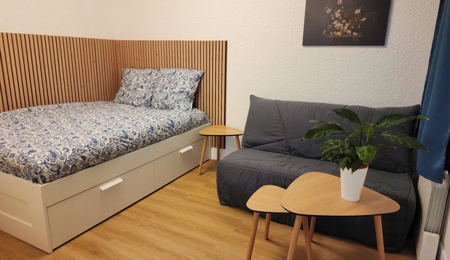 Private studio in the center of Strasbourg in Strasbourg
