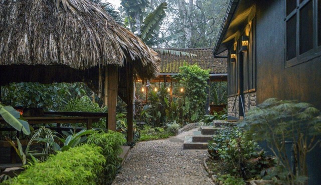 Romantic Jungle Suite w/Lush Tropical Views, Private Bath, and Air Conditioning in San Ignacio