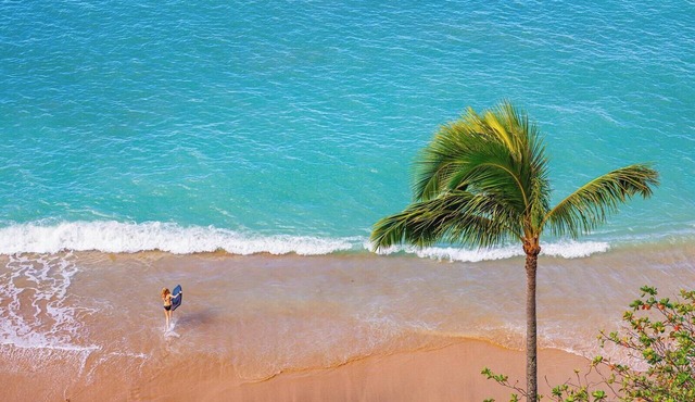 Sands of Kahana 2 Oceanfront Villas, Sleeps 16 | Car Incl. w/6 nights | ML-4052 by KBM in Lahaina