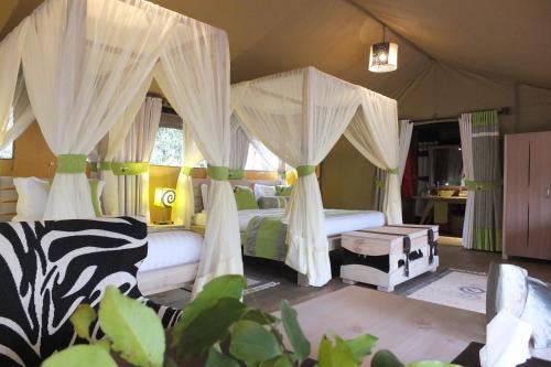 Soroi Private Wing in Masai Mara