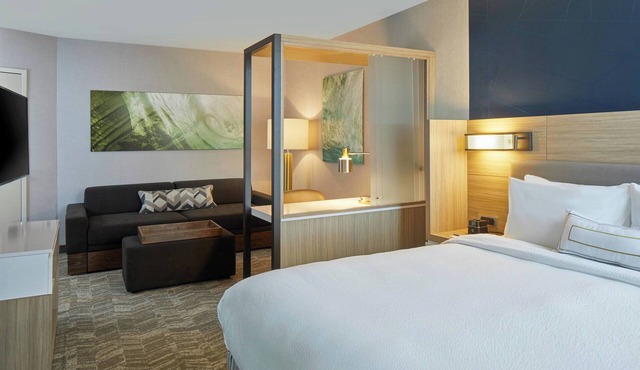SpringHill Suites by Marriott Charlotte at Carowinds in Charlotte
