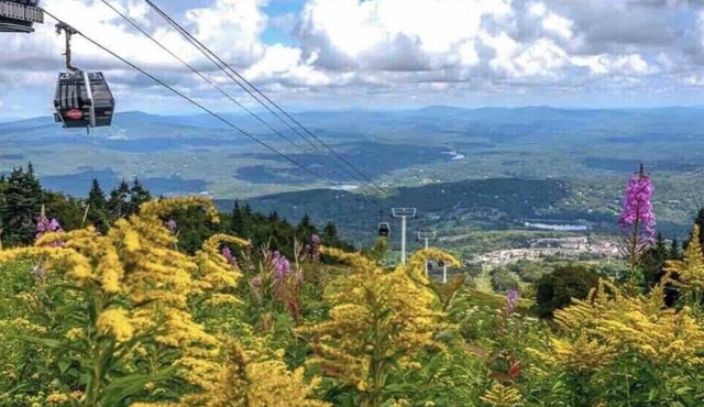 Stratton Ski Inn - Shuttle to ski - Golf course - Hot tub in Winhall