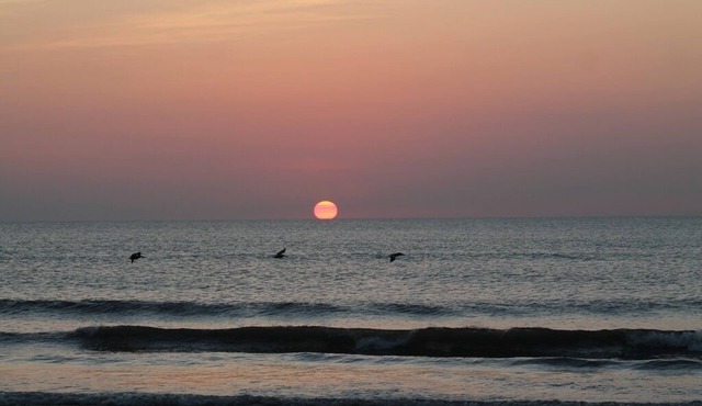 Stunning Ocean & Pool View 2/2 Ormond Beach Florida #204 in Ormond Beach