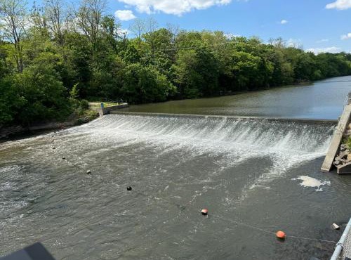Sugar on The Sugar River in Albany