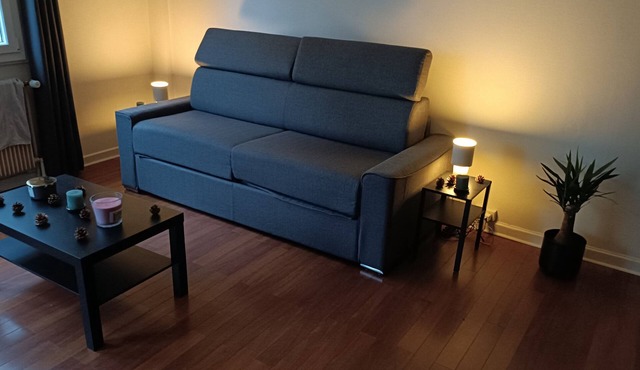 Superb studio in Lyon 3 with sofa bed 160x200 cm bedroom and balcony in Lyon