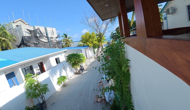 VelaaOlhu - Turtle Hive Thulusdhoo