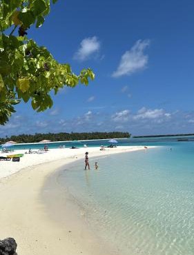VelaaVani - Turtle Hive Dhiffushi