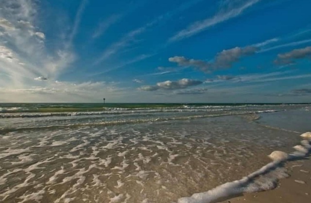 Bay Clearwater 