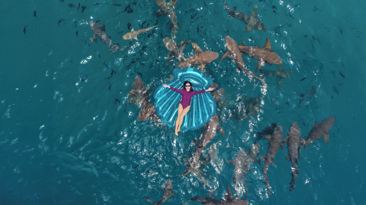 Photo of Others in Maafushi
