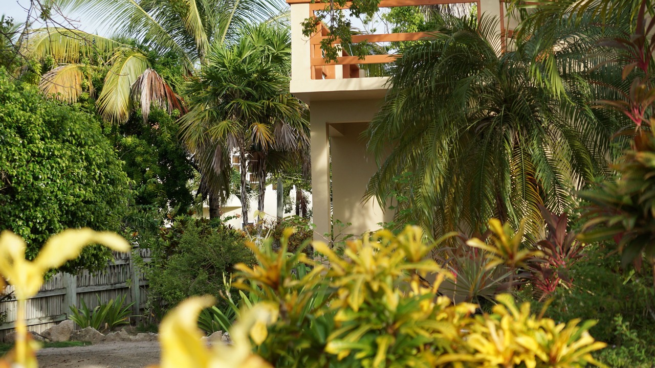 Photo of Outdoor in San Pedro