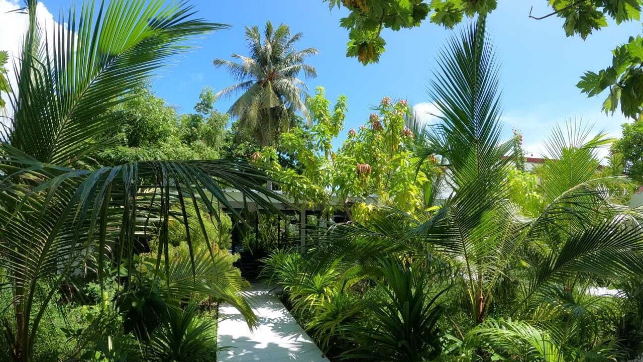 Photo of Outdoor in Kudahuvadhoo