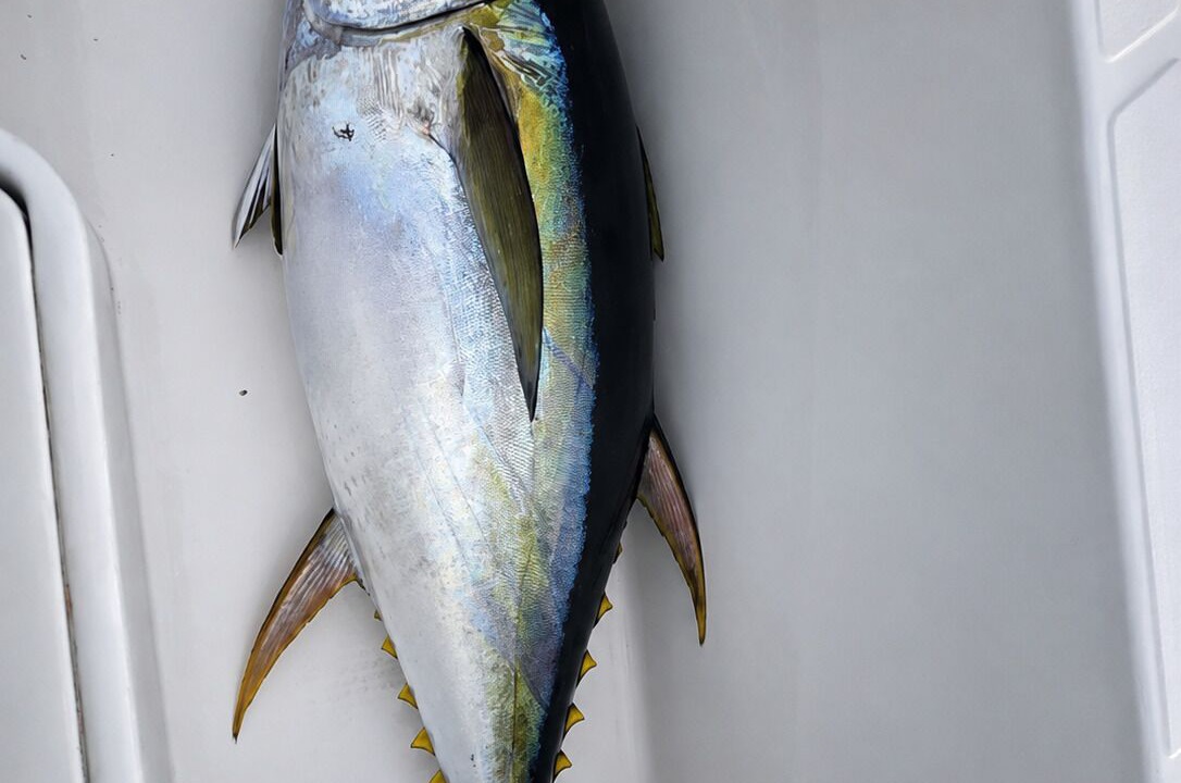 Photo of Others in Noonu Atoll