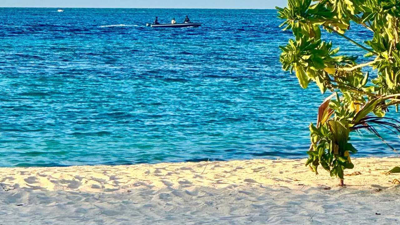 Photo of Others in Himmafushi