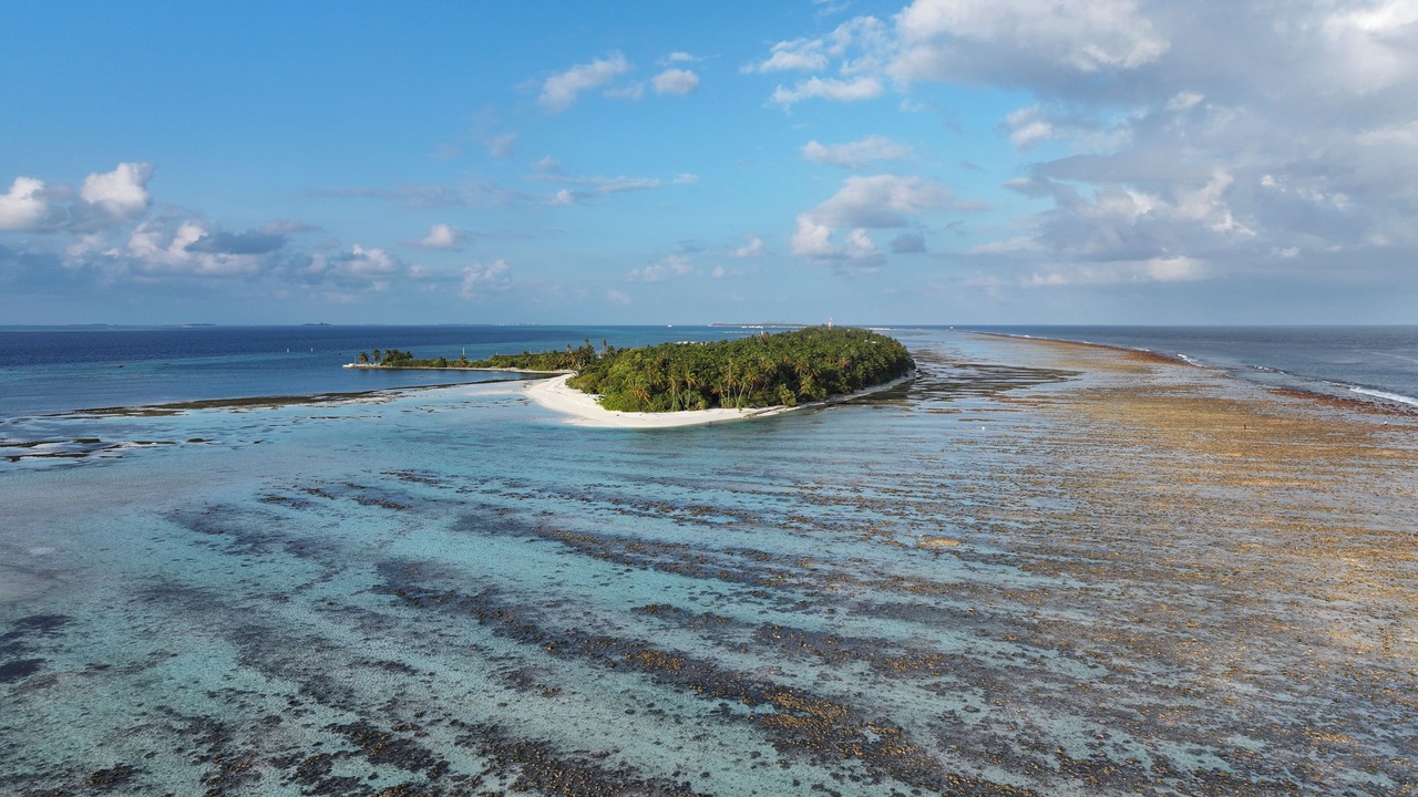 Photo of Others in Dhidhdhoo