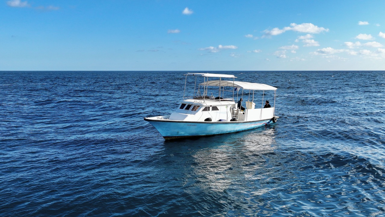 Photo of Others in Dhidhdhoo