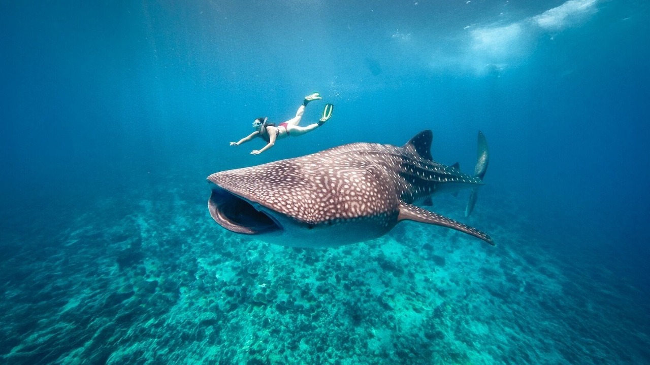 Photo of Others in Maafushi