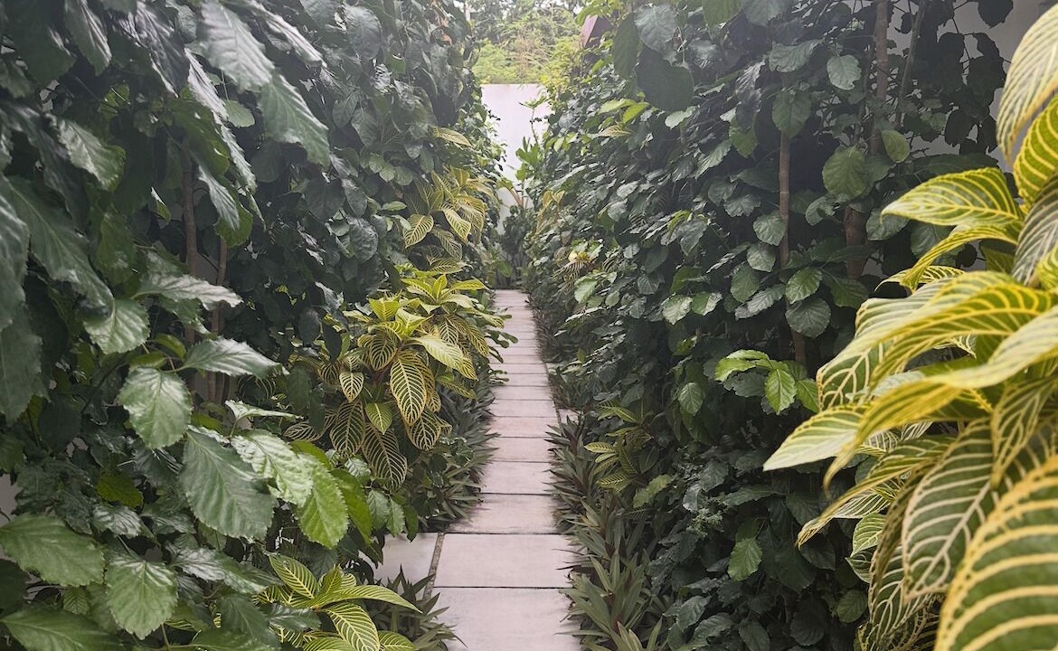 Photo of Outdoor in Thoddoo