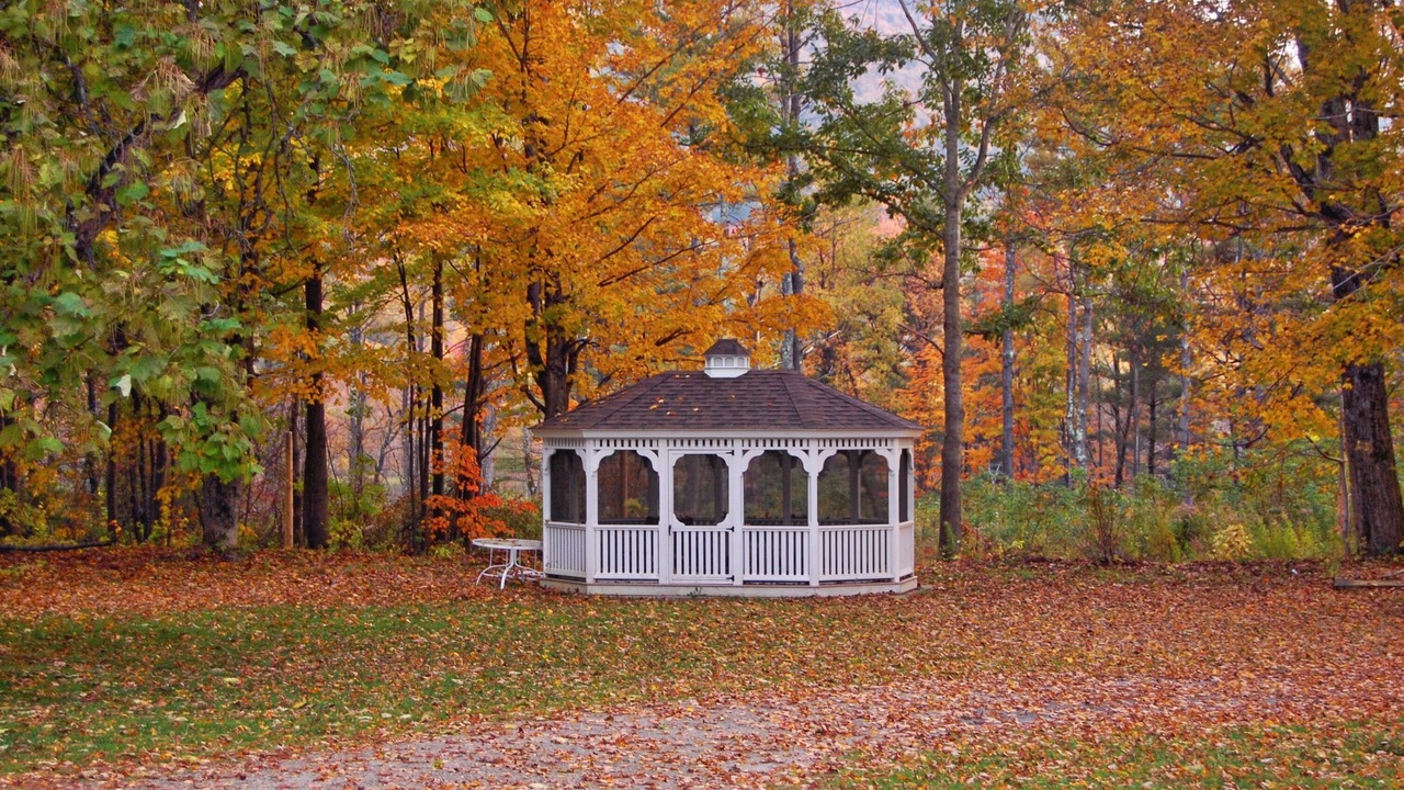 Photo of Outdoor in Manchester Center