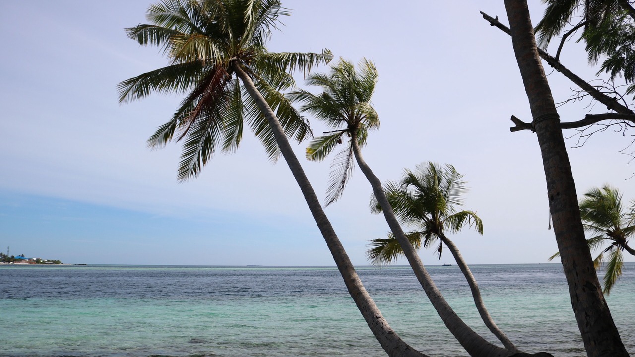Photo of Others in Dhidhoofinolhu Island