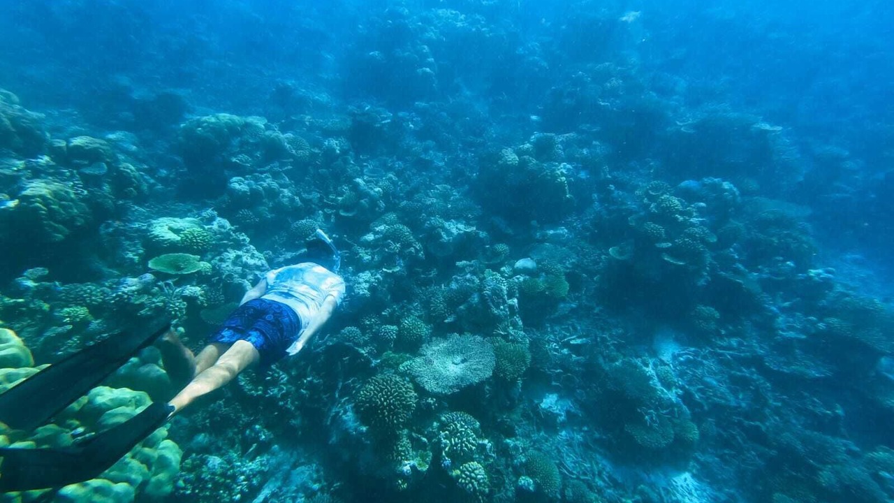 Photo of Others in Kudahuvadhoo