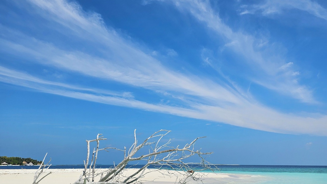 Photo of Others in Dharavandhoo