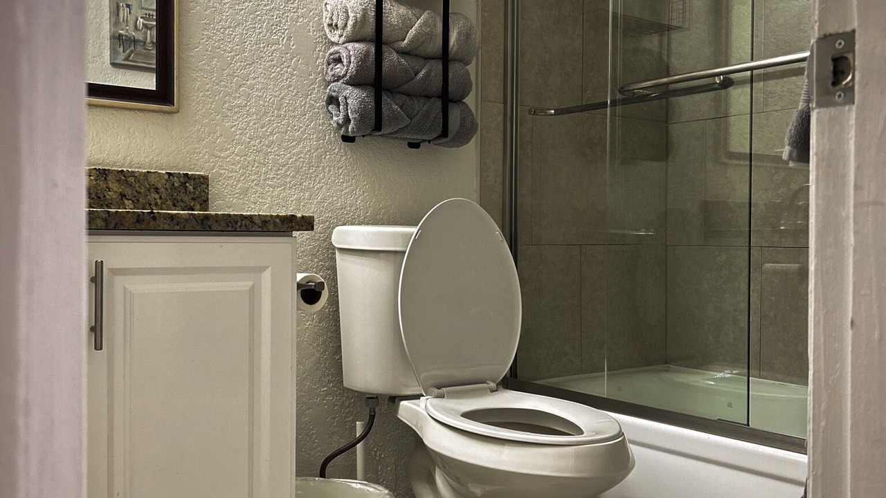Photo of Bathroom in North Tampa
