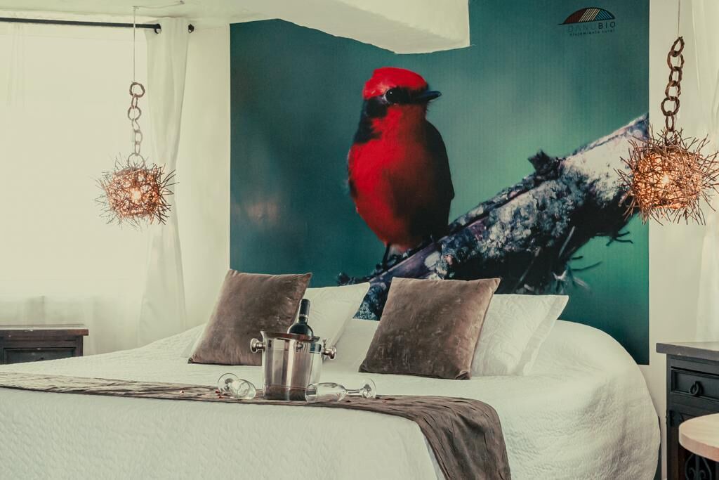 Photo of Bedroom in Pereira
