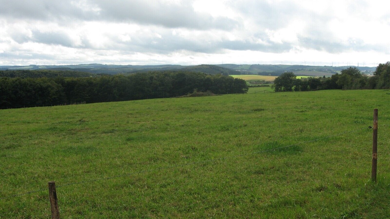 Photo of Outdoor in Halenfeld