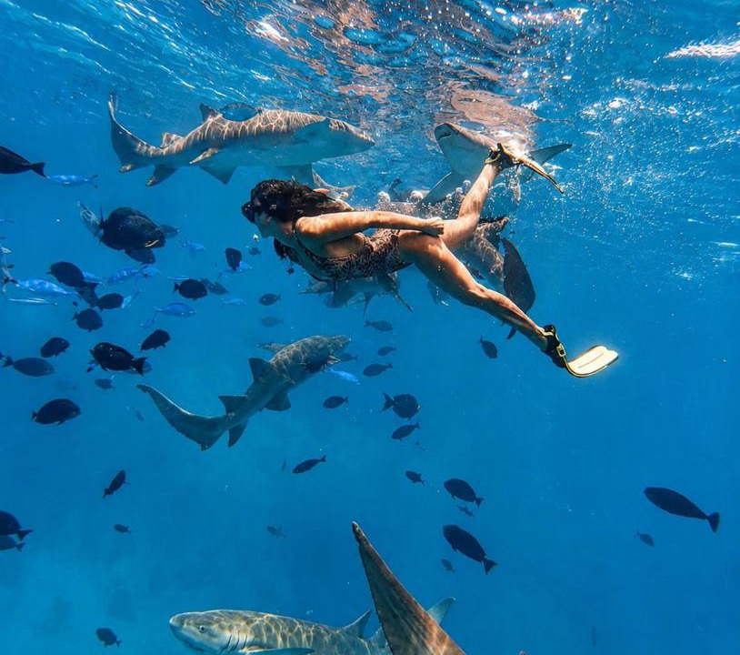Photo of Human In Picture in Fulidhoo