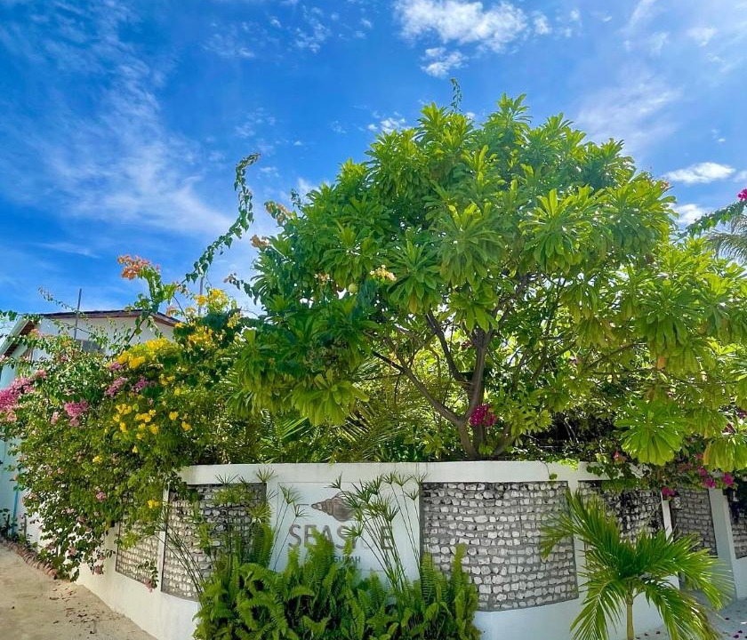 Photo of Others in Dhigurah