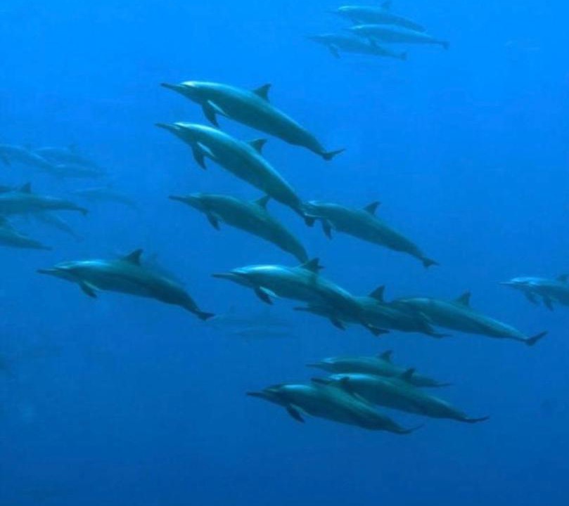 Photo of Others in Ukulhas