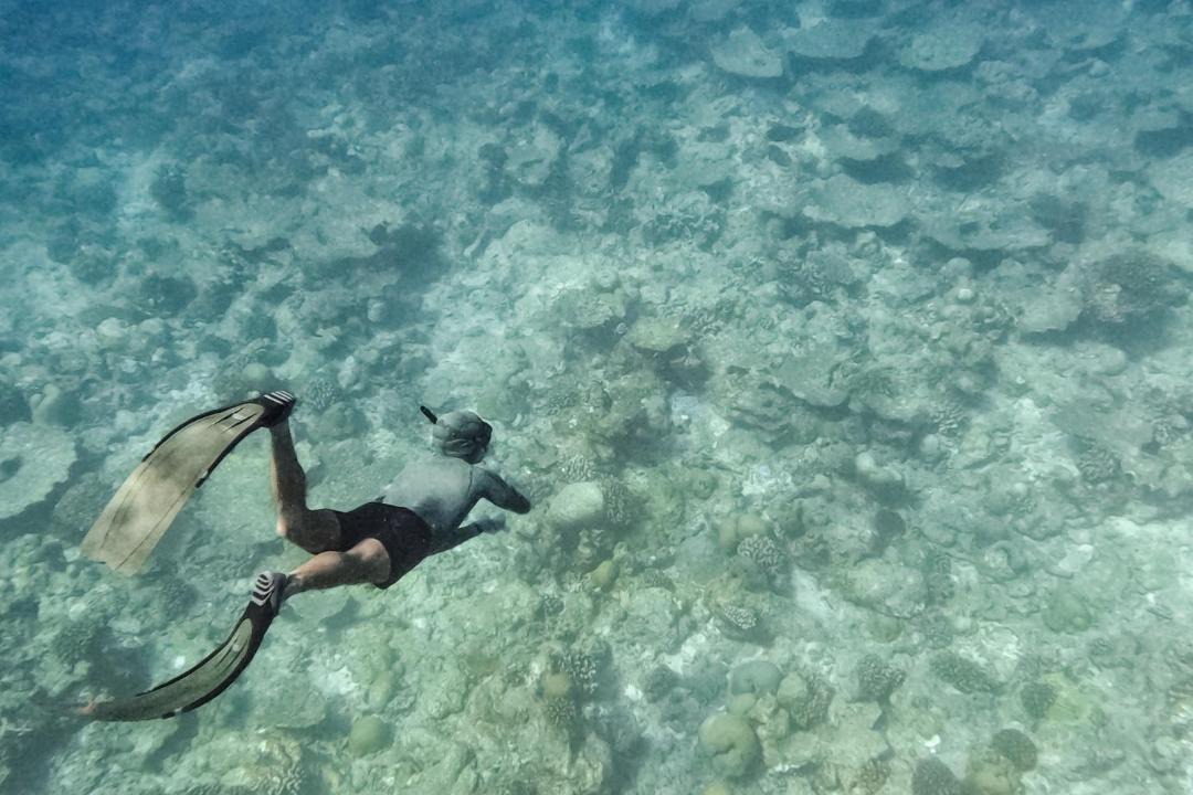 Photo of Others in Kudahuvadhoo