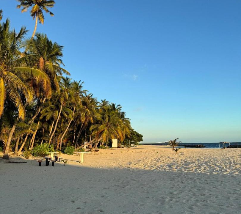 Photo of Others in Dharavandhoo